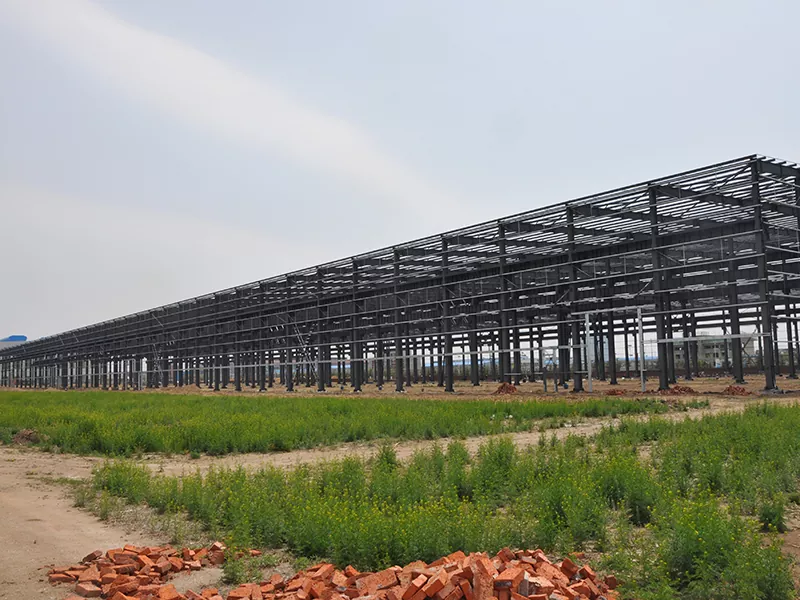 સ્ટીલ વેરહાઉસ બિલ્ડિંગ કીટ